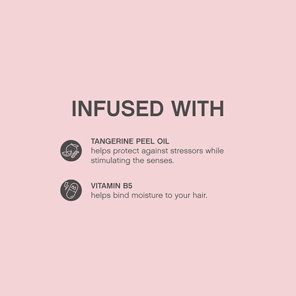 Kevin Murphy Body Builder Volumising Mousse 400ml