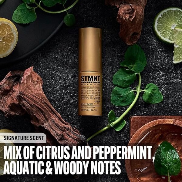 STMNT Powder Spray 4g