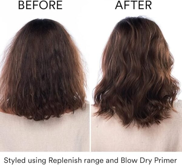 Authentic Beauty Concept Replenish Conditioner 250ml