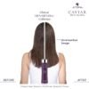 Alterna Caviar Anti-Aging Clinical Densifying Shampoo 250ml