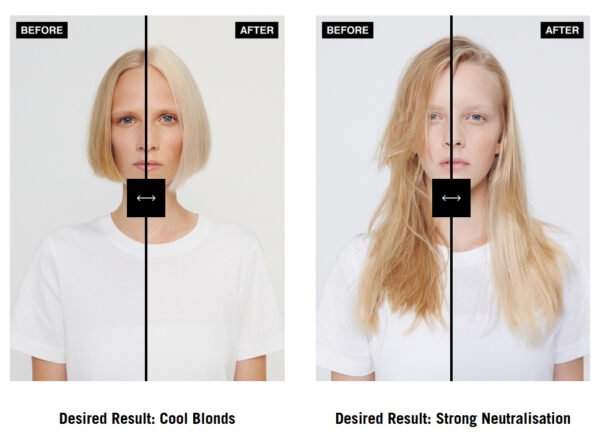 Schwarzkopf Igora Royal Highlifts Permanent Color Creme (12-2) 60ml