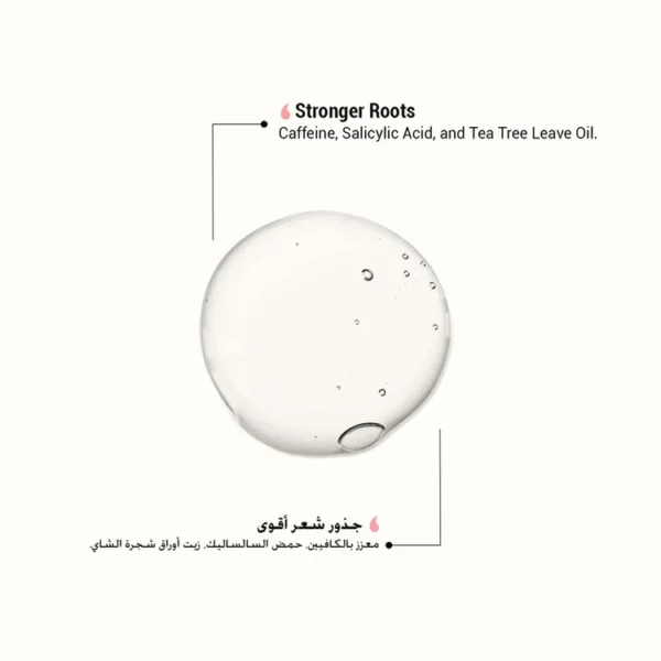 MOREMO Caffeine Biome Shampoo For Normal & Dry Scalp 500ml