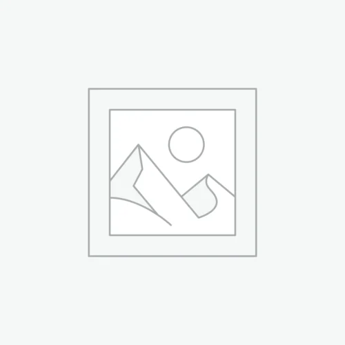 Goldwell Dual Senses Rich Repair Restoring Shampoo 250ml