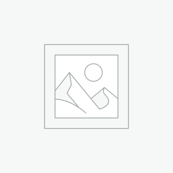 Goldwell Dual Senses Rich Repair Restoring Shampoo 250ml